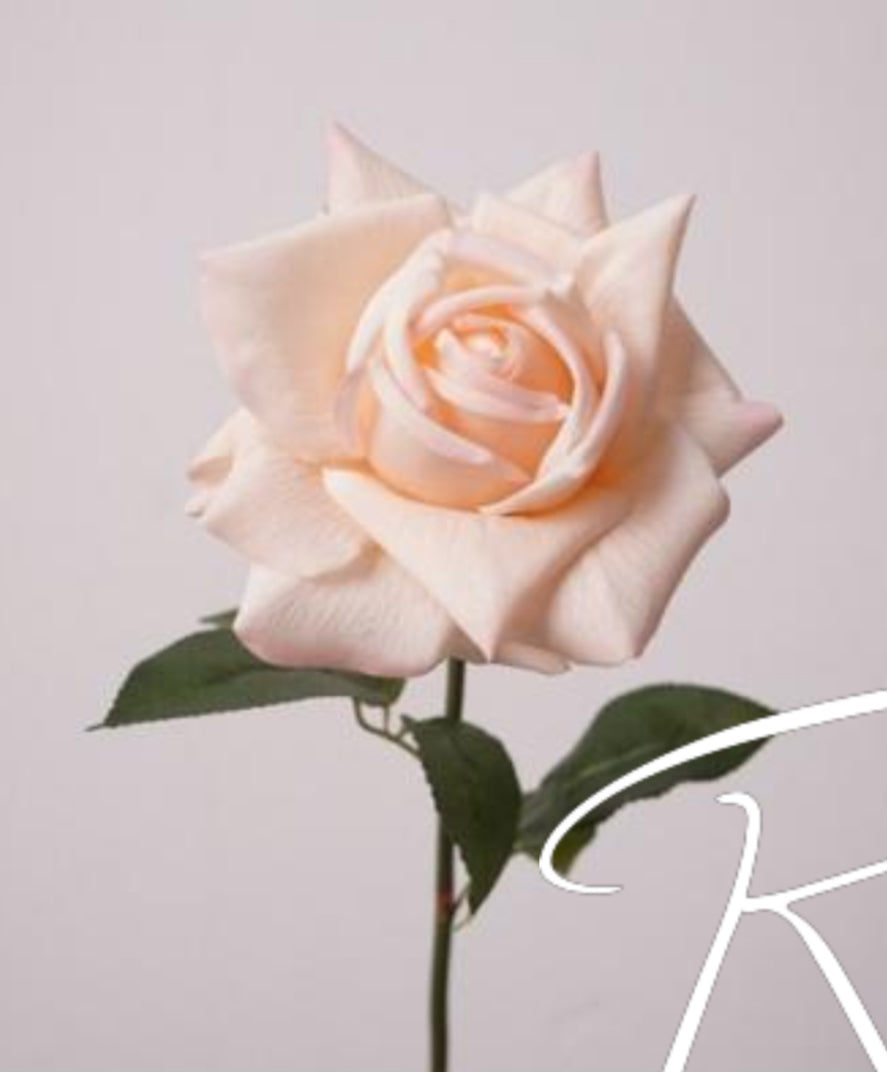 Preorder - Real Touch - Blush Rose