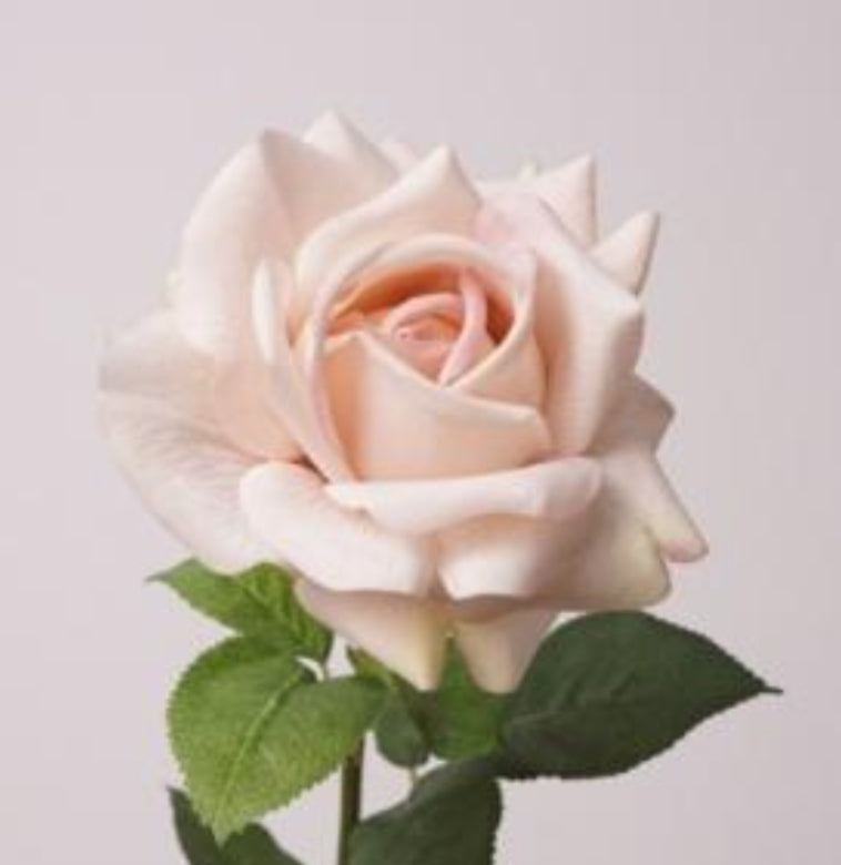 Preorder - Real Touch - Light Pink Rose